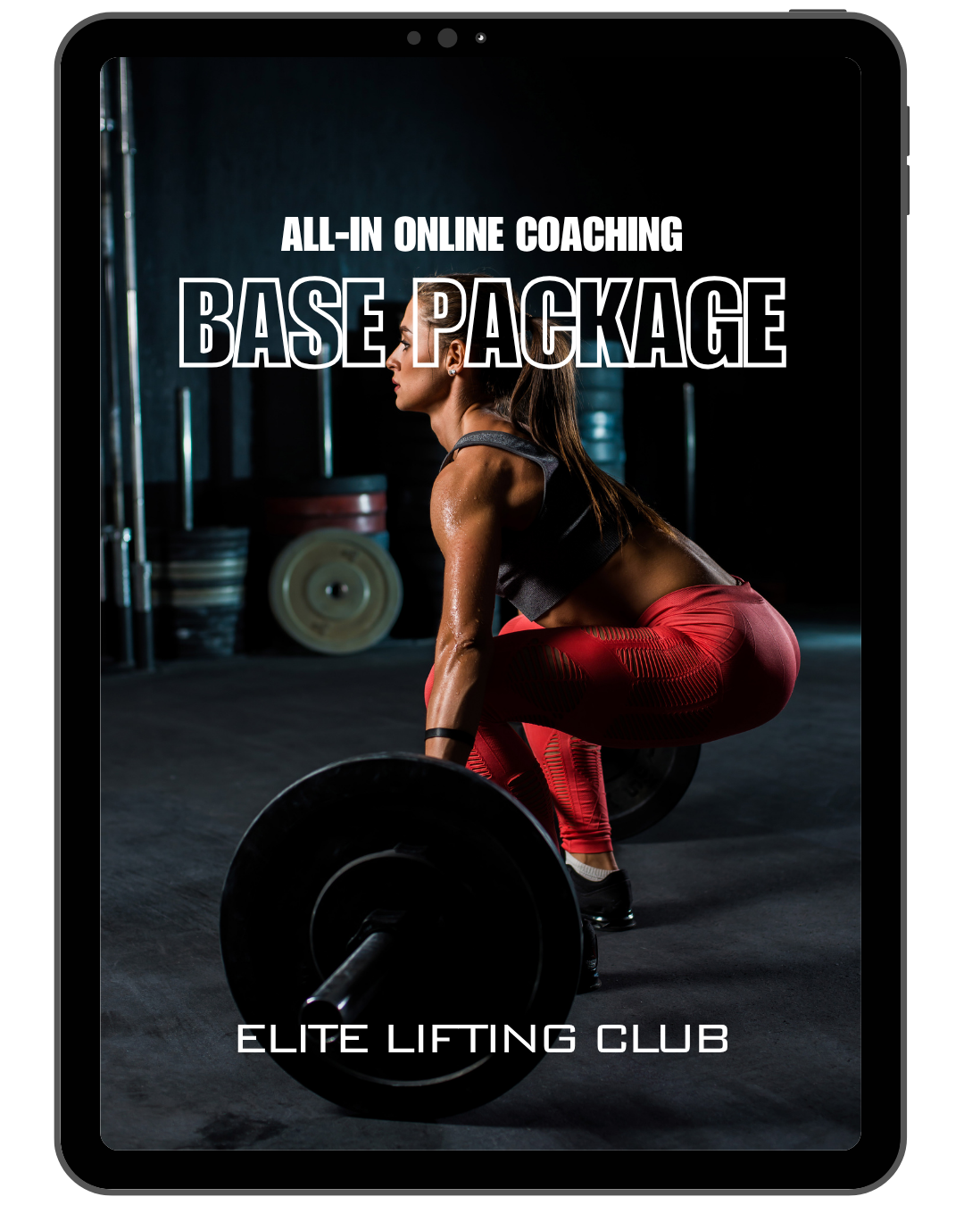 BASE PACKAGE - online all-in coaching